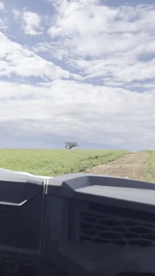 Vídeo vertical do ponto de vista de um UTV avançando por uma estrada de terra em direção ao horizonte